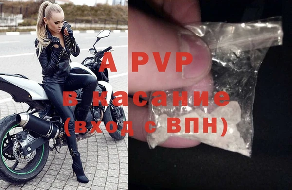 твердый Арсеньев