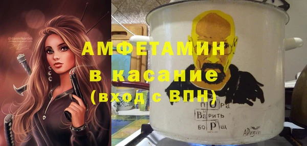 твердый Арсеньев