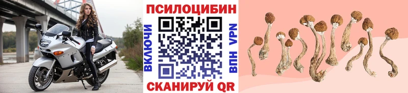 mega как зайти  Ливны  Галлюциногенные грибы MAGIC MUSHROOMS  даркнет сайт 